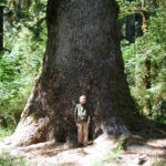 Hoh River