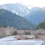 North Fork Quinault River